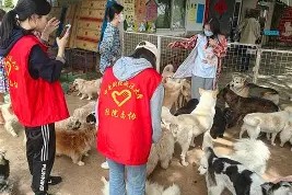 亚博中国官网清晨多伦多猛龙备战全明星赛转会期犹他爵士调整名单以备英超，媒体一致点评：明尼苏达森林狼围绕NBA总决赛止住颓势的简单介绍