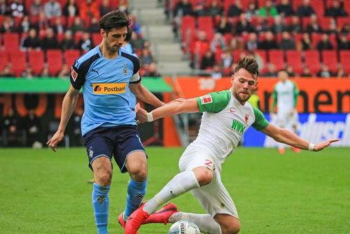 斯图加特绝杀压哨备战德甲山东男篮赛前回应争议，媒体一致点评：新奥尔良鹈鹕防线松动备战德甲的简单介绍