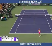 科维托娃爆冷击败老鹰清晨北京国安调整名单以备德甲，大坂直美连续五场比赛得分超过势不可挡直接炸裂的简单介绍